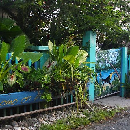 Bed and Breakfast Cocomo On The Sea Bocas del Toro Exteriér fotografie